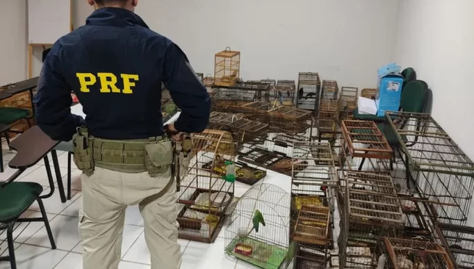 05e3f65b-5918-4198-a2ad-9dea44638824