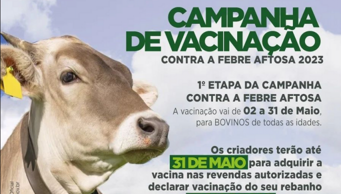 Screenshot 2023-05-11 at 15-59-55 Prefeitura de Ibaretama (@prefeituradeibaretamaoficial) Instagram