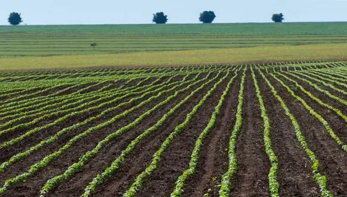 agro