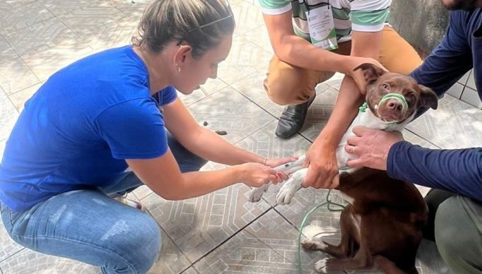 prefeituradequixadace-20230516-0001