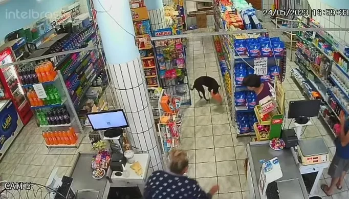 whatsapp-video-2023-05-26-at-08.33.05-1-.mp4-snapshot-00.11.090