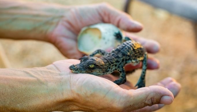 1_adobestock_71738773-22227411