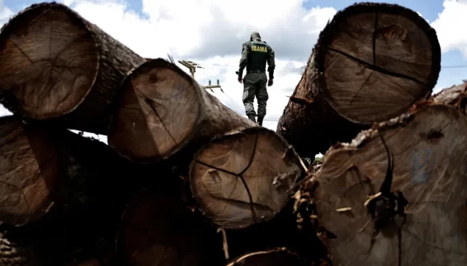 2023-02-15t204738z-1207290224-rc2euy9vrt3i-rtrmadp-3-brazil-environment-amazon-fund