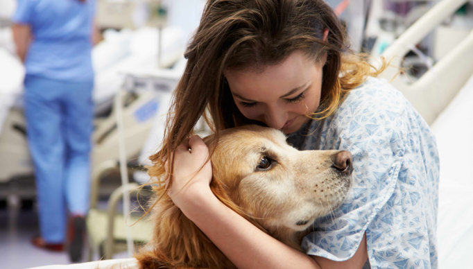 48b2921126a416d64d266a827ace99ad