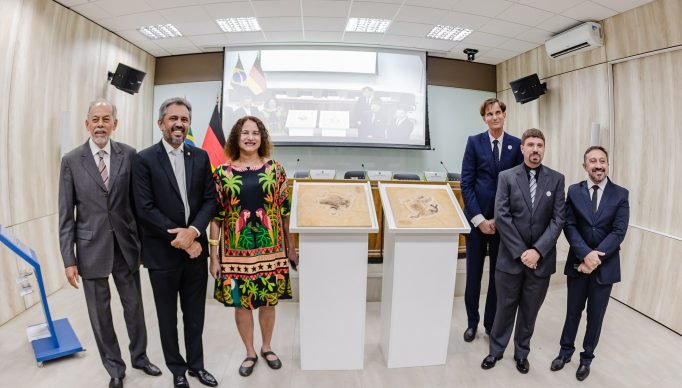 52970429189_f3ff6a6227_k