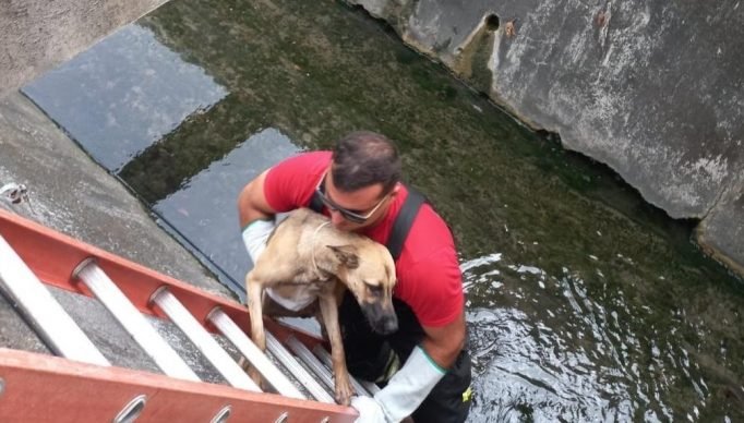 WhatsApp Image 2023-06-10 at 19.44.08