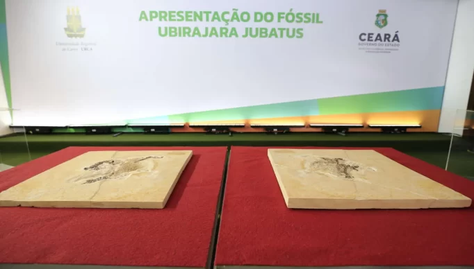 Imagem: Carlos Gibaja/Governo do Estado