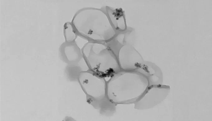 nanocapsulas