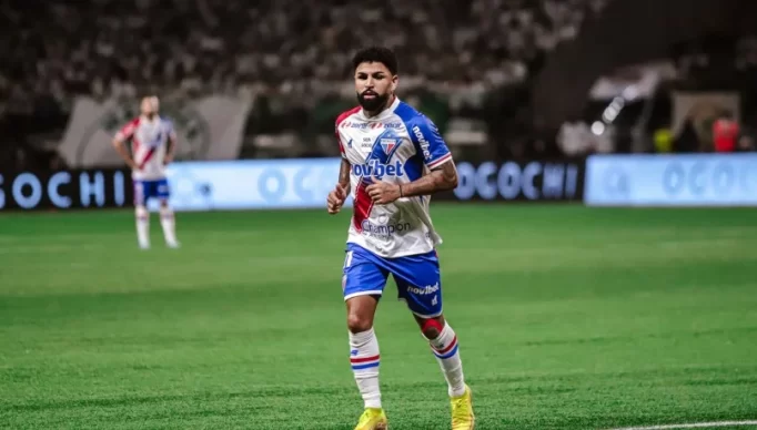 1_romarinho_fortaleza_jogo_palmeiras_copa_do_brasil__2_-22128171