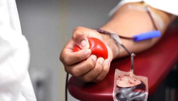 2021_11_24-Doacao_de_Sangue_HSL_Michelle_Gordon_por_Pixabay-1024x731