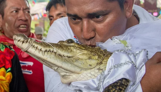 NKIZ6PWBJJHJROBKAXZV4ZKILA