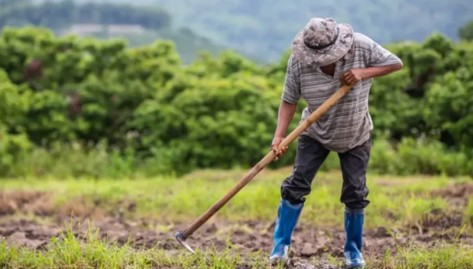 agricultores ok