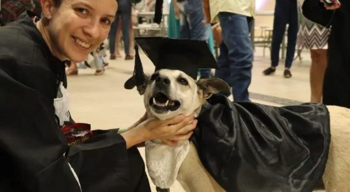 cadela-valente-UFCA-750x375