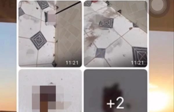 coco-planaltina-1-compressed-600x400