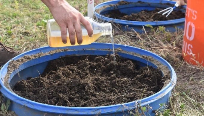 voce-comeria-comida-adubada-com-xixi-1685542259987_v2_900x506