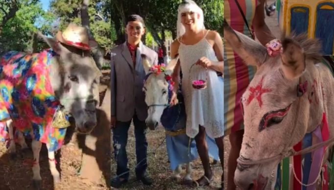 1_collage_maker_23_aug_2023_10_45_am_4646-23108105