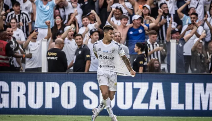 53130650835_efd7288cdf_o-e1692565521864