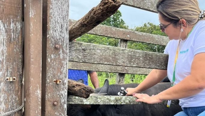 WhatsApp-Image-2023-08-08-at-15.02.10