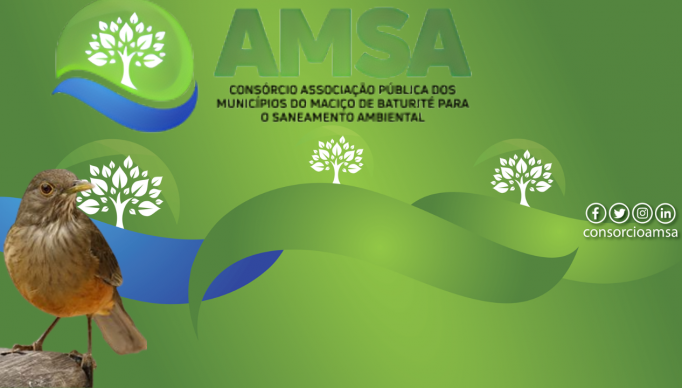 amsa