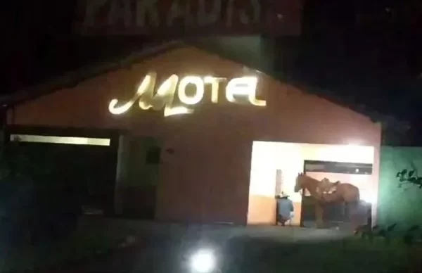 cavalo-motel-600x400