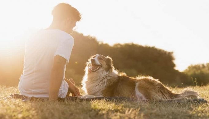 https__img.migalhas.com.br__SL__gf_base__SL__empresas__SL__MIGA__SL__imagens__SL__2021__SL__12__SL__06__SL__6811daca-353f-4138-8e5c-f45dbe80d94b.jpg._PROC_CP65