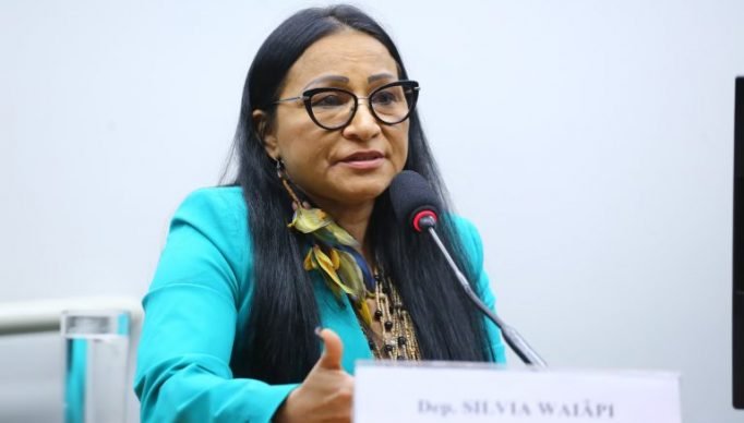Audiência Pública - Atual situação do enquadramento dos servidores dos ex-territórios. Dep. Silvia Waiãpi (PL - AP)