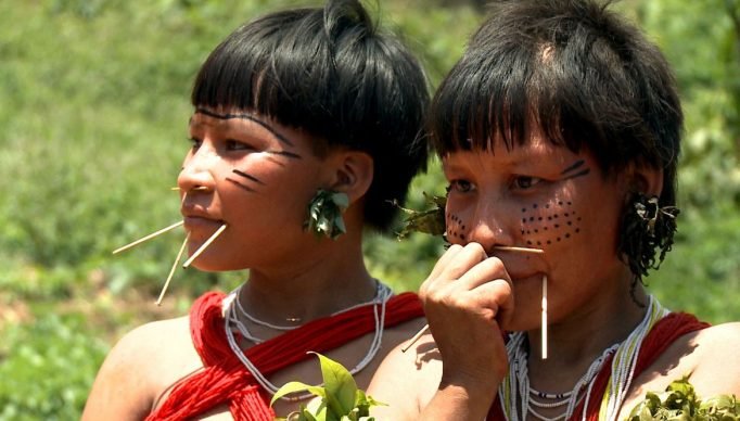 Brasília (DF - Caminhos da Reportagem Yanomami - O Direito de Existir - Mulheres indígenas yanomami. - Foto: TV Brasil/Divulgação