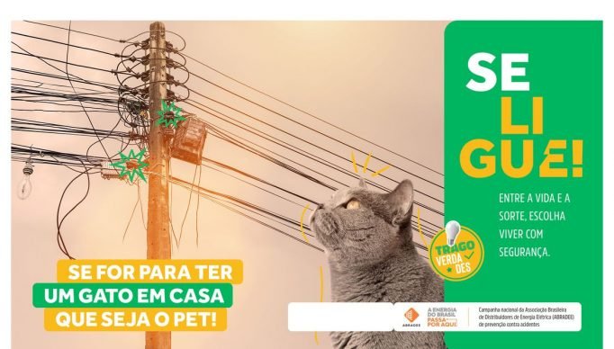 Brasília/DF, 12/07/2023, CAMPANHA NACIONAL FAZ ALERTA PARA ACIDENTES COM A REDE ELÉTRICA. Foto: ABRADEE/Divulgação