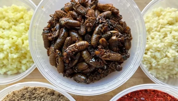 whatsapp-image-2023-08-14-at-16.07.26-1-