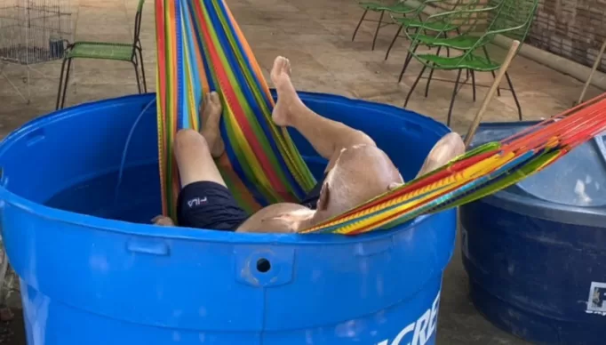 4b5654afbea59b72694222f1d72c9486