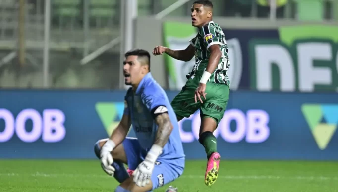 53162696985_a546c66857_o