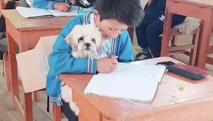 660x0-1695838392-651470b8bbccf-hd