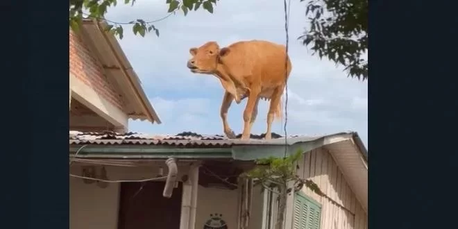 WhatsApp-Image-2023-09-07-at-14.34.56