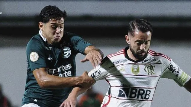 flaxgoi-e1695252295795