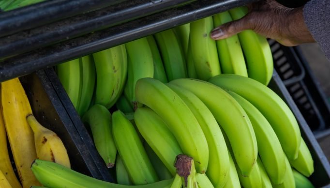 istock-1358778007-scaled