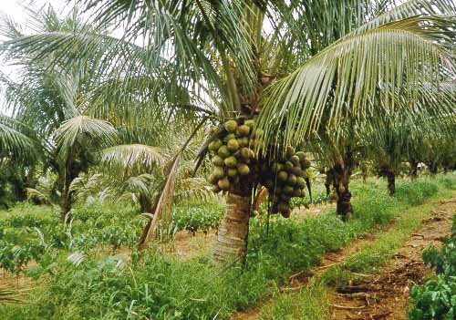 s7ZXj3ocoStXqSbc4abMJXJHeQaUoBmX7leFd65G