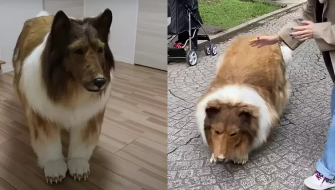 untitled-design-2023-09-13t114050-049-1hrayz6wm6ofm