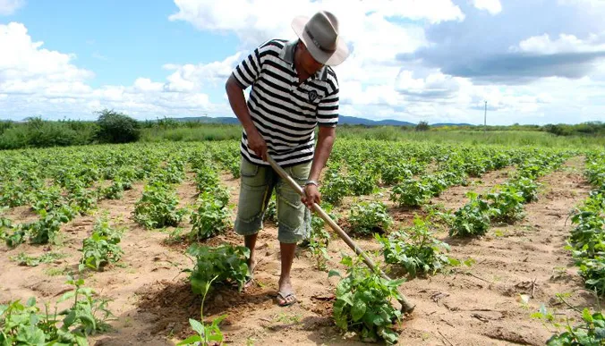 17adf711f1f0dd9ecbdd54b7520fa50a