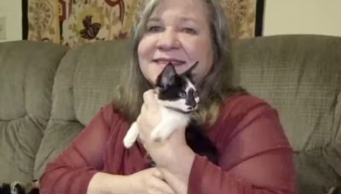 Screenshot 2023-10-24 at 00-25-37 Médico prescreve um gato para mulher em depressão e ela melhora - Só Notícia Boa