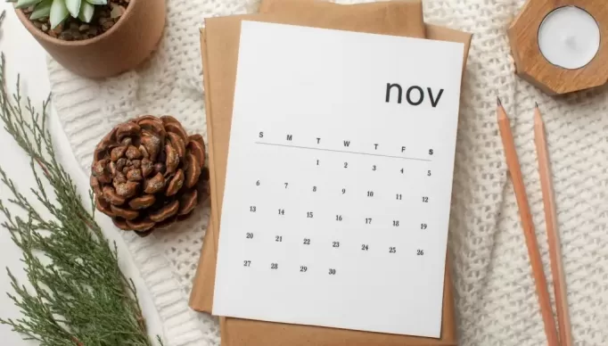acima-vista-do-calendario-de-novembro-e-planta