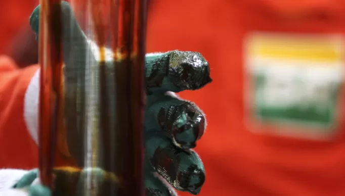 2011-02-16t120000z_1534372485_gm1e72h0dmo01_rtrmadp_3_petrobras