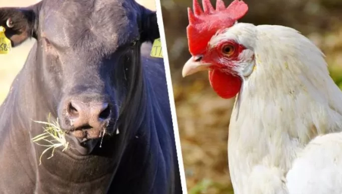 bernardo_-_capa_de_materia_3_mnWeqfd_widelg