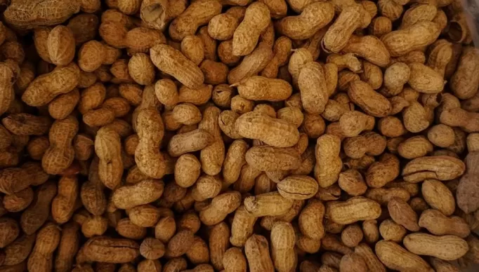 tom-hermans-ZPfd3ZobOc0-unsplash