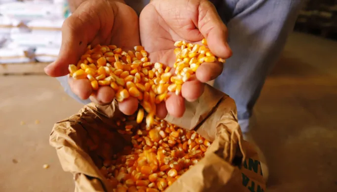 231228_HORA-DE-PLANTAR-BARBALHA_HS8006-2048x1365