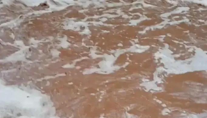 Capturar-1
