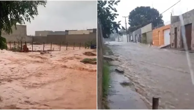 WhatsApp-Image-2023-12-18-at-10.06.31