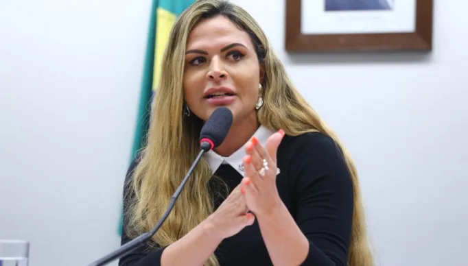 Audiência Pública - A importância da qualidade do atendimento pré-natal para a prevenção da violência obstétrica e da mortalidade materna. Dep. Silvye Alves (UNIÃO - GO)