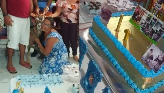 85b10f9f7c913356a6631298d4f20dcb