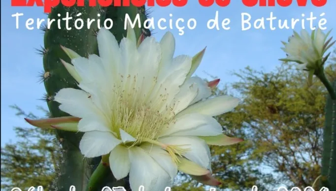 Imagem do WhatsApp de 2024-01-20 à(s) 18.57.34_cff39c35