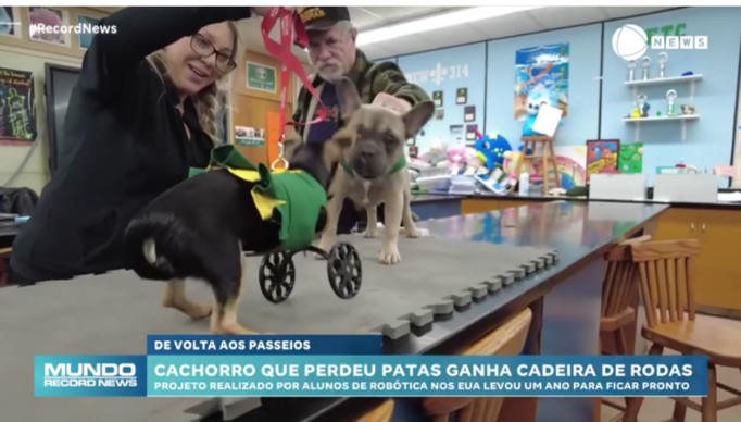Screenshot 2024-01-15 at 16-21-42 Cachorro sem as patas dianteiras ganha 'cadeira de rodas' de equipe de pesquisadores